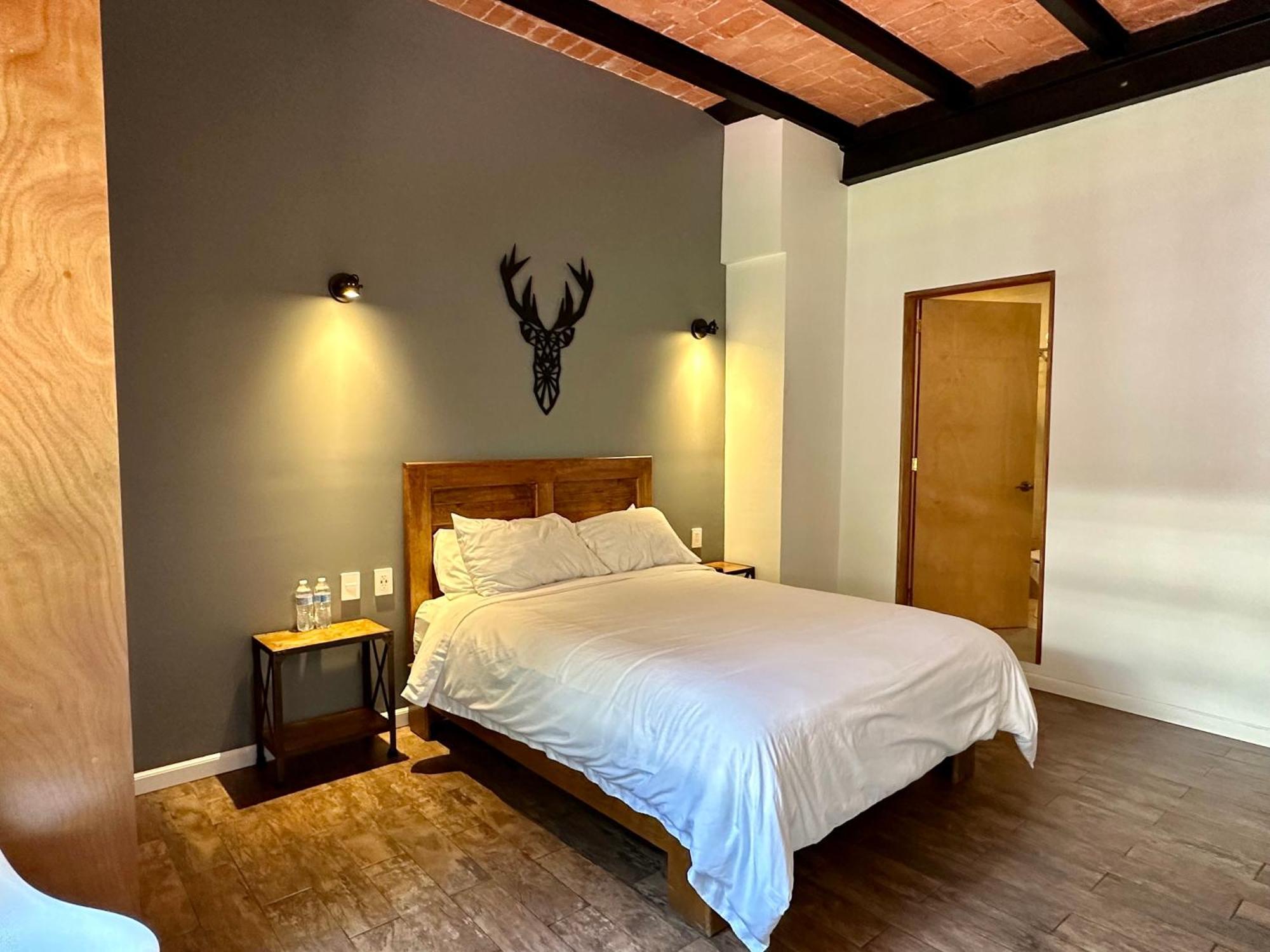 Casa Raffaello Hotel Мексико Сити Екстериор снимка